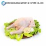 High Protein Nutritious Quick OEM Custom Packaging Wholesale Price Frozen Whole Chicken
