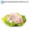 High Protein Nutritious Quick OEM Custom Packaging Wholesale Price Frozen Whole Chicken