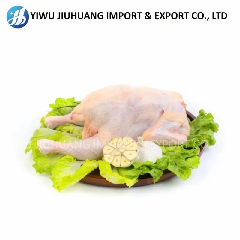 High Protein Nutritious Quick OEM Custom Packaging Wholesale Price Frozen Whole Chicken