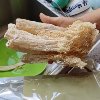 Factory Direct Bamboo Fungus Dry Mushroom, High Quality Edible Mushroom