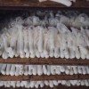 Factory Direct Bamboo Fungus Dry Mushroom, High Quality Edible Mushroom