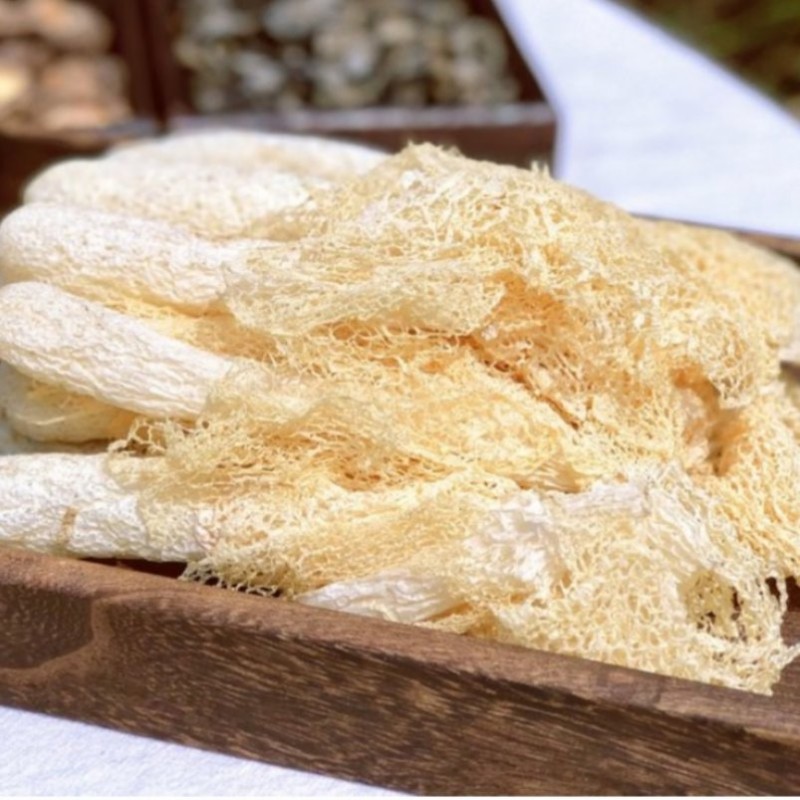 Factory Direct Bamboo Fungus Dry Mushroom, High Quality Edible Mushroom