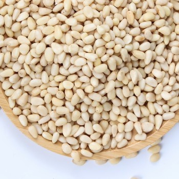 Chinese New Crop Pinenuts Kernels Pinus Koraiensis