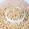 Chinese New Crop Pinenuts Kernels Pinus Koraiensis