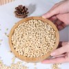 Chinese New Crop Pinenuts Kernels Pinus Koraiensis