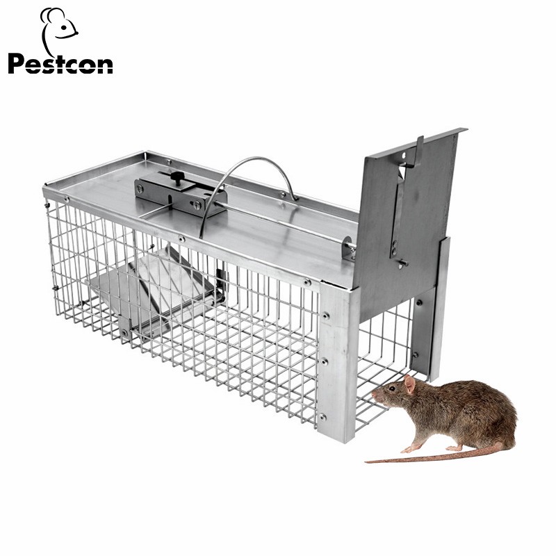 Eco-Friendly Humane Metal Rat Squirrel Trap Cage for Safe Rodent Control