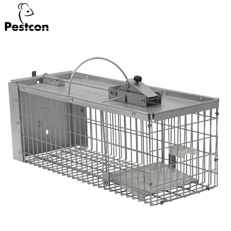 Eco-Friendly Humane Metal Rat Squirrel Trap Cage for Safe Rodent Control