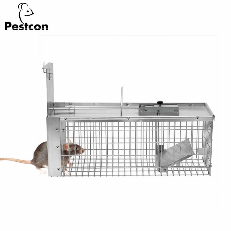 Eco-Friendly Humane Metal Rat Squirrel Trap Cage for Safe Rodent Control