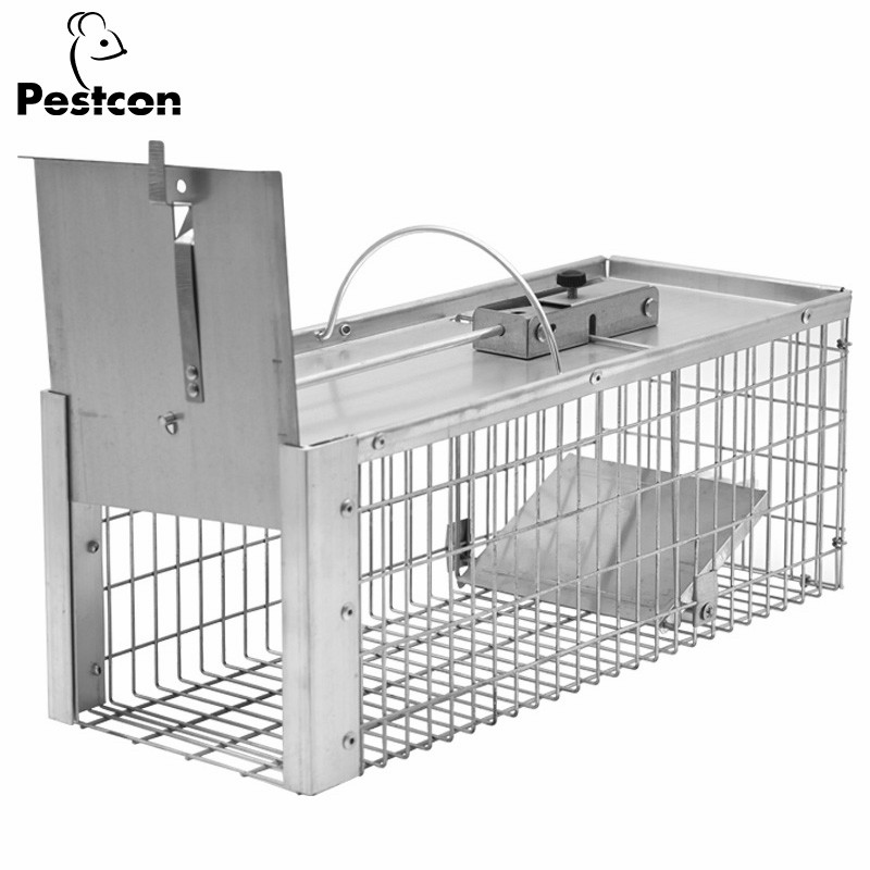 Eco-Friendly Humane Metal Rat Squirrel Trap Cage for Safe Rodent Control