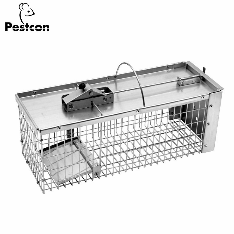 Eco-Friendly Humane Metal Rat Squirrel Trap Cage for Safe Rodent Control