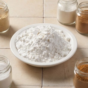 Premium Corn Starch Powder Flour Ingredients for Natural Taste