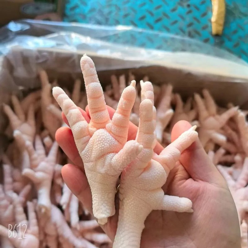 Wholesale Frozen Meat High Quality Frozen Chicken Feet Hlala Chicken Meat