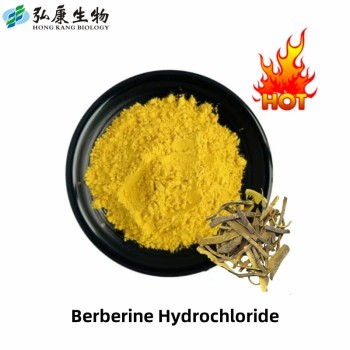 15+ Years Experience 97% 98% Hydrochloride Berberine for Nutraceutical Industry