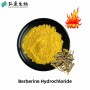 15+ Years Experience 97% 98% Hydrochloride Berberine for Nutraceutical Industry