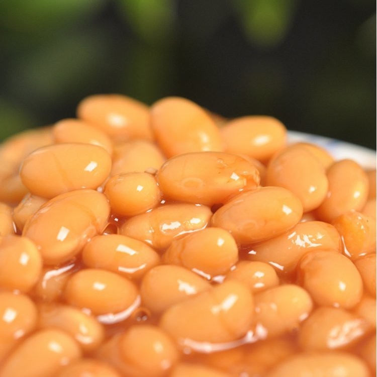 Competitive Price Canned Baked Bean