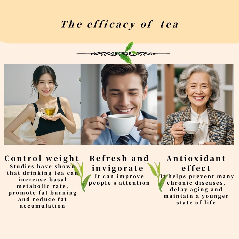 Fouramazingtea Golden Bud Huangjinya Green Tea Factory Wholesale Herbal Loose Leaf Pu'er/Puerh Instant EU Organic Black/Green/White/Oolong Tea Anticancer