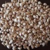 High Quality Garlic Organic Crops Standardized Processing