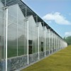 Agg High Efficient Tomato Prefab Green House Venlo Hollow PC Board Greenhouse