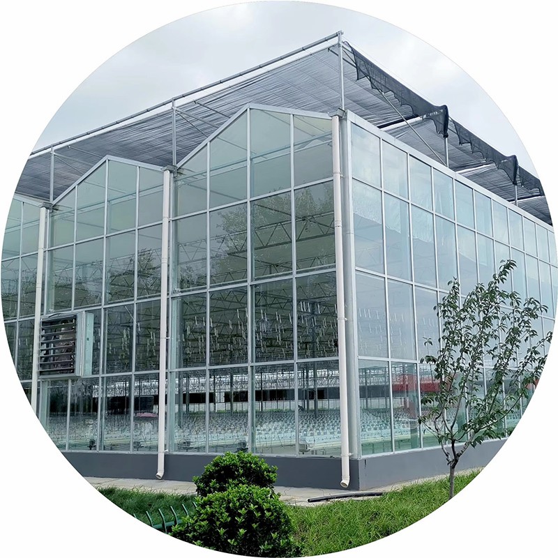 Agg High Efficient Tomato Prefab Green House Venlo Hollow PC Board Greenhouse