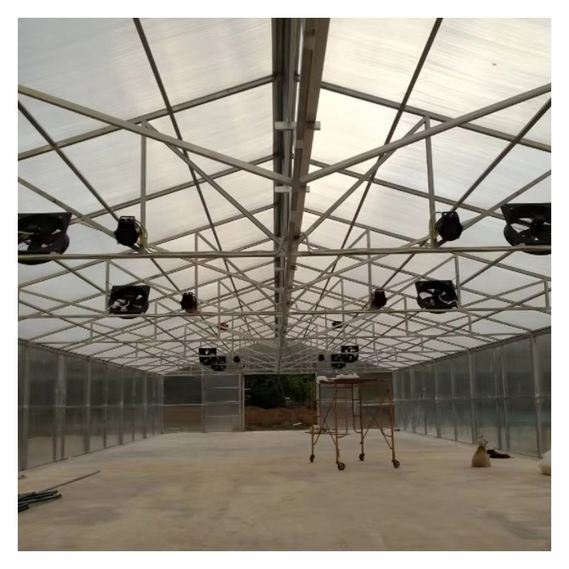 Agg High Efficient Tomato Prefab Green House Venlo Hollow PC Board Greenhouse