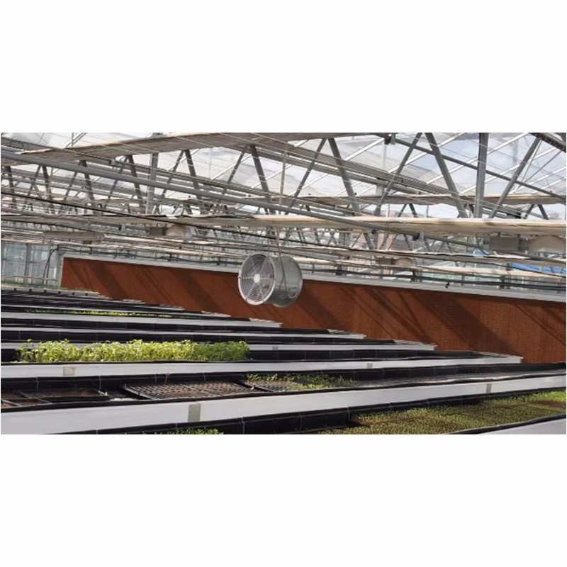 Agg High Efficient Tomato Prefab Green House Venlo Hollow PC Board Greenhouse
