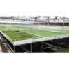 Agg High Efficient Tomato Prefab Green House Venlo Hollow PC Board Greenhouse