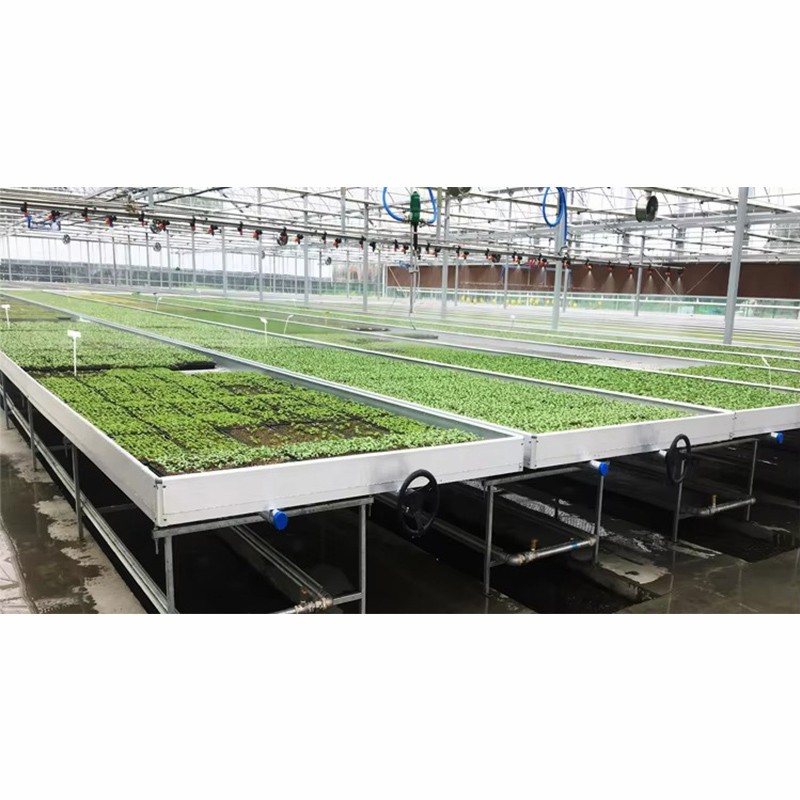 Agg High Efficient Tomato Prefab Green House Venlo Hollow PC Board Greenhouse