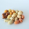 Japan Style Popular Coated Crispy Soy Sauce Peanuts Snacks Manufacturer