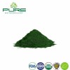 Pure Organic Spirulina Powder - Your Ultimate Health Booster