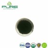 Pure Organic Spirulina Powder - Your Ultimate Health Booster