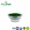 Pure Organic Spirulina Powder - Your Ultimate Health Booster