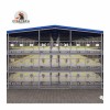 Poultech Broiler Floor Raising System Shed with Automatic Feeders and Drinkers