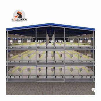Poultech Broiler Floor Raising System Shed with Automatic Feeders and Drinkers