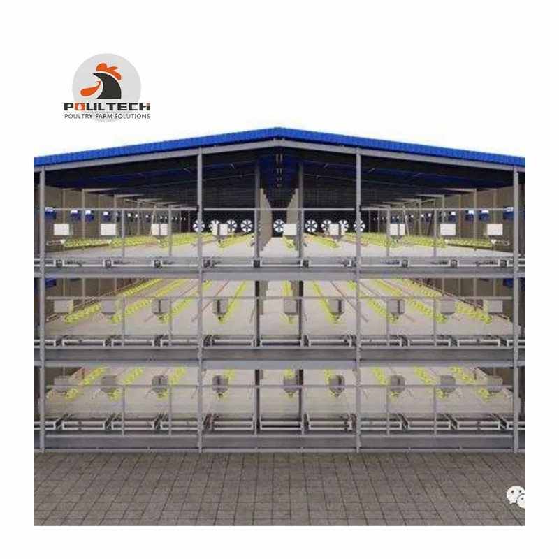 Poultech Broiler Floor Raising System Shed with Automatic Feeders and Drinkers