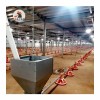 Poultech Broiler Floor Raising System Shed with Automatic Feeders and Drinkers