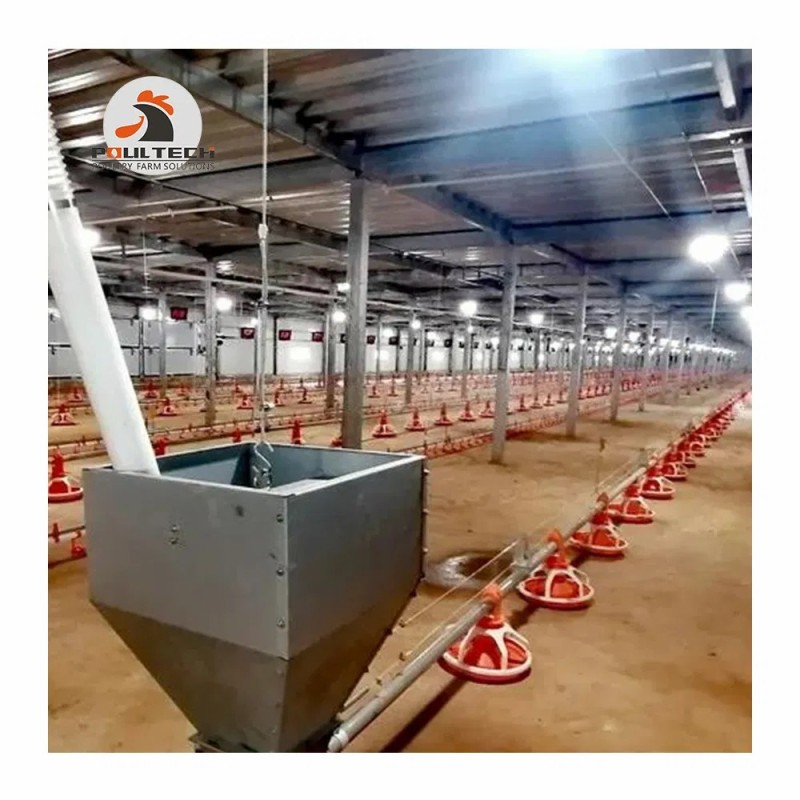 Poultech Broiler Floor Raising System Shed with Automatic Feeders and Drinkers