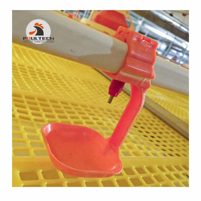 Poultech Broiler Floor Raising System Shed with Automatic Feeders and Drinkers