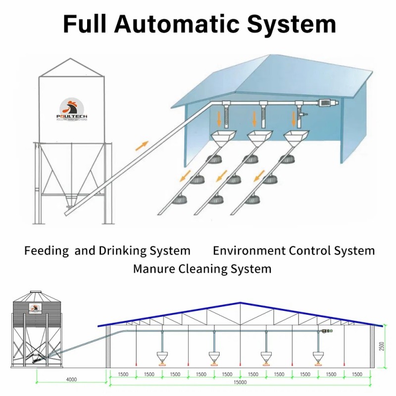 Poultech Broiler Floor Raising System Shed with Automatic Feeders and Drinkers