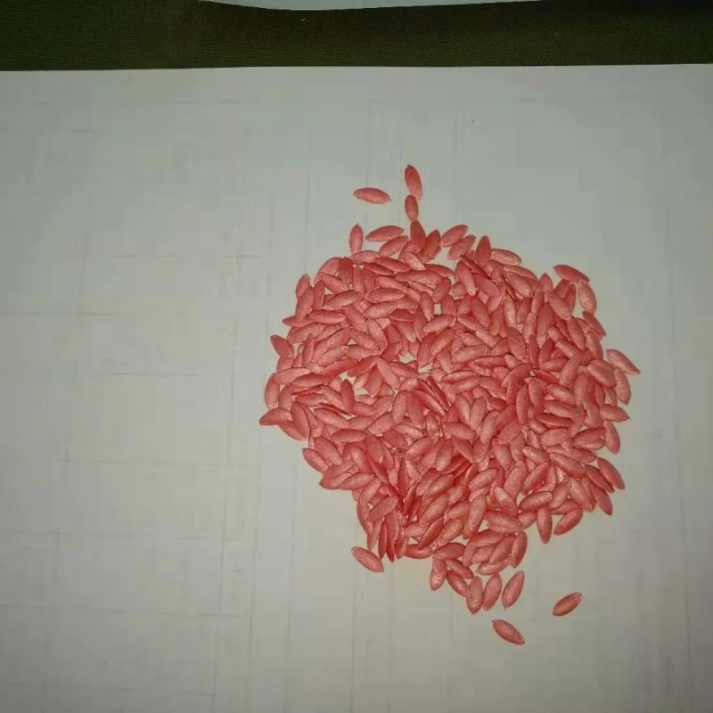 Cucumber Seeds Mi9 Multi Fruits Cucumber Seeds