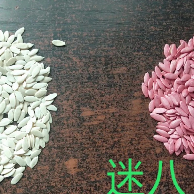 Cucumber Seeds Mi9 Multi Fruits Cucumber Seeds