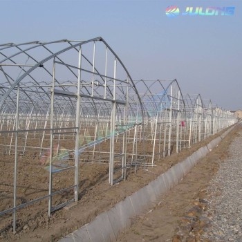 Galvanized Steel Frame Single Span PE Film Greenhouse for Agriculture Use