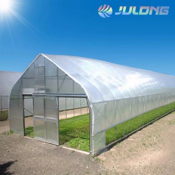Galvanized Steel Frame Single Span PE Film Greenhouse for Agriculture Use