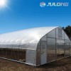 Galvanized Steel Frame Single Span PE Film Greenhouse for Agriculture Use