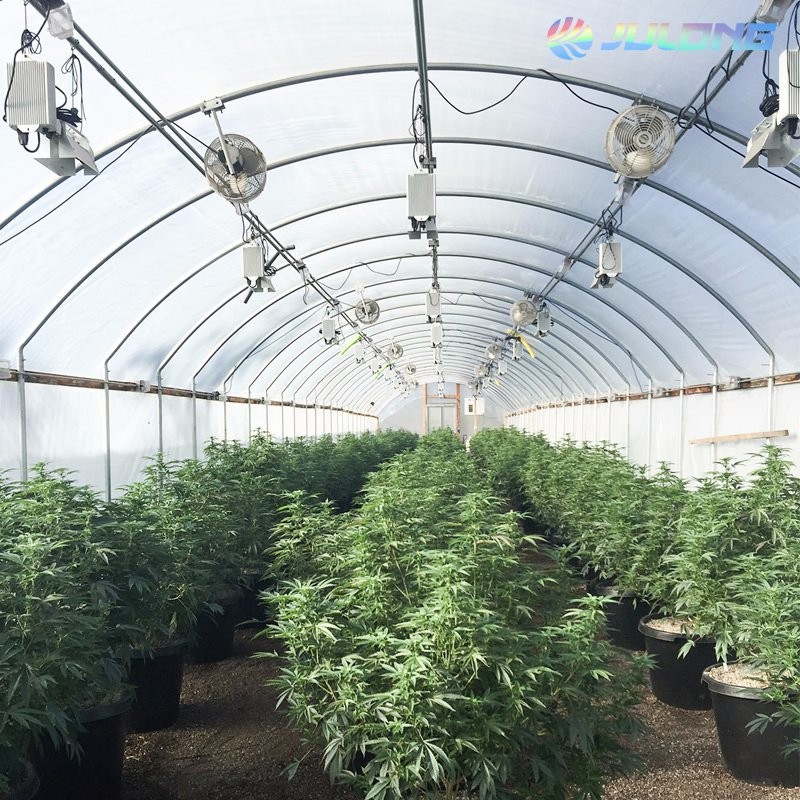 Galvanized Steel Frame Single Span PE Film Greenhouse for Agriculture Use