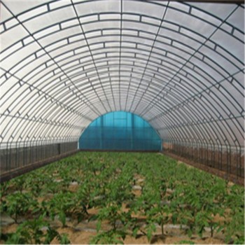 Corrosion-Resistant Customization Energy-Saving Tunnel Greenhouse with High Light Transmission
