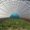 Corrosion-Resistant Customization Energy-Saving Tunnel Greenhouse with High Light Transmission