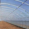 Corrosion-Resistant Customization Energy-Saving Tunnel Greenhouse with High Light Transmission