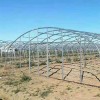 Corrosion-Resistant Customization Energy-Saving Tunnel Greenhouse with High Light Transmission