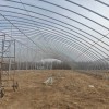 Corrosion-Resistant Customization Energy-Saving Tunnel Greenhouse with High Light Transmission