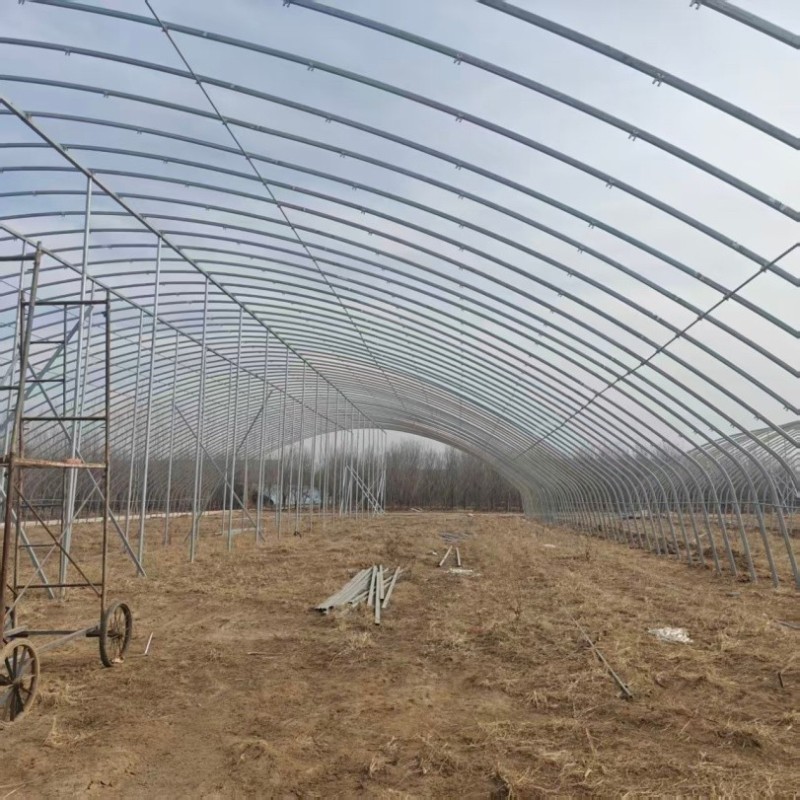 Corrosion-Resistant Customization Energy-Saving Tunnel Greenhouse with High Light Transmission
